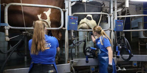 Samen melken