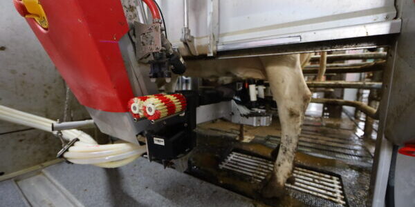Lely astronaut melkrobot