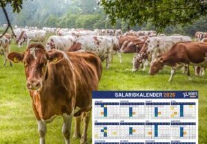 Ontwerp zonder titel