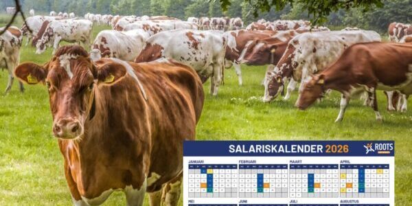 Ontwerp zonder titel