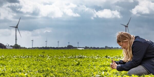 Roots, Dat Werkt! – Vacatures | Bijbanen | Personeel