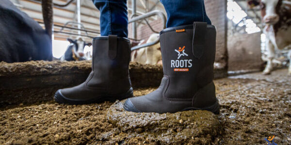 Roots_Udink_Site-8543