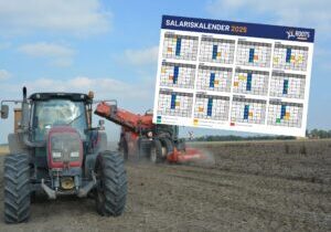 SALARISKALENDER 2025 afbeelding